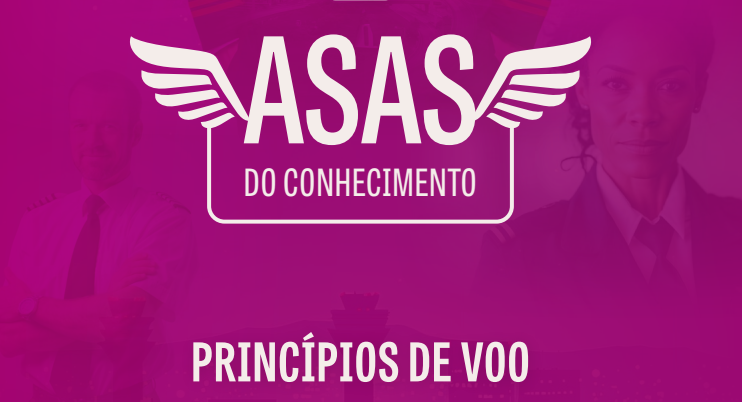 Capa Princípios de Voo